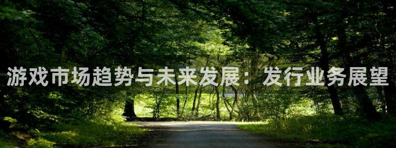 火狐电竞app官网防水的质量怎么样：游戏市场趋势与未来发展：发行业务展望