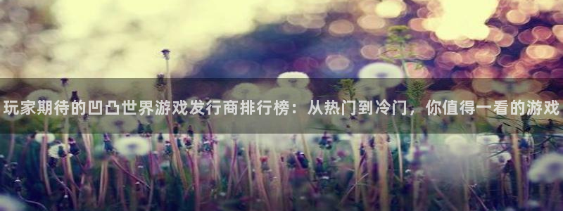 火狐电竞客服怎么样