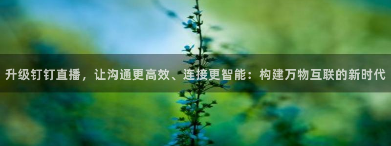 球友体育在线直播观看：升级钉钉直播，让沟通更高效、连接更智能：构建万物互联的新时代