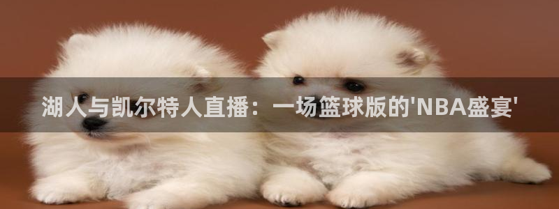 球友体育下载：湖人与凯尔特人直播：一场篮球版的\'NBA盛宴\'