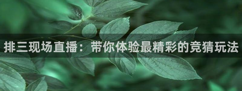 球友体育直播在线观看：排三现场直播：带你体验最精彩的竞猜玩法