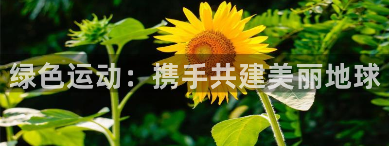 球友直播ios：绿色运动：携手共建美丽地球