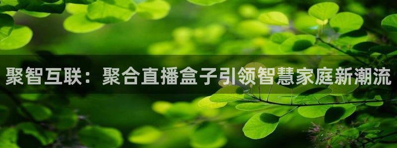nba直播球友：聚智互联：聚合直播盒子引领智慧家庭新潮流