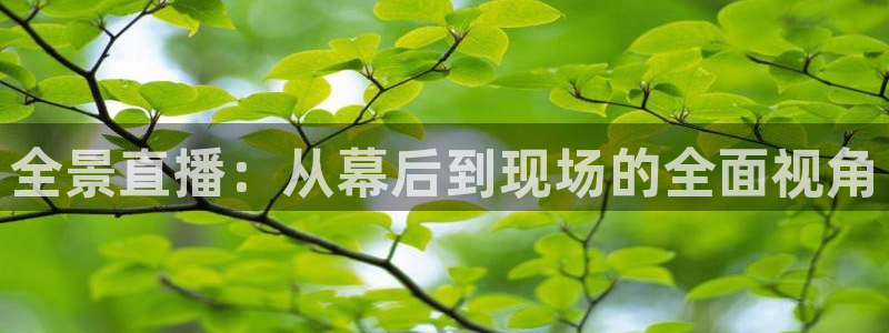 球友直播nba在线直播：全景直播：从幕后到现场的全面视角