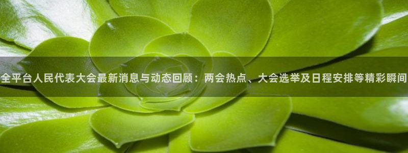 球友nba直播：全平台人民代表大会最新消息与动态回顾：两会热点、大会选举及日程安排等精彩瞬间