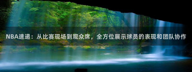 球友体育app免费看球：NBA速递：从比赛现场到观众席，全方位展示球员的表现和团队协作