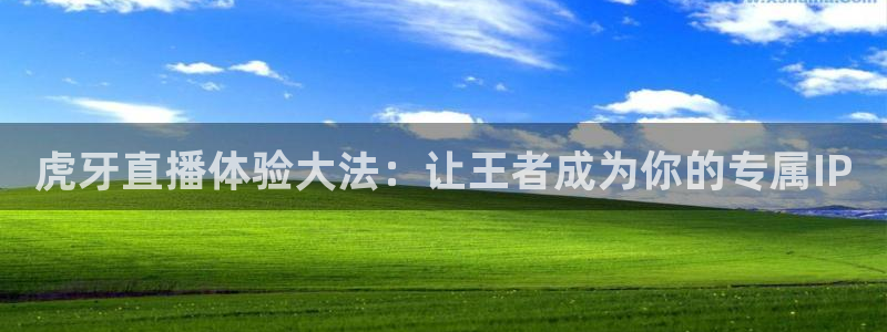 球友直播app：虎牙直播体验大法：让王者成为你的专属IP