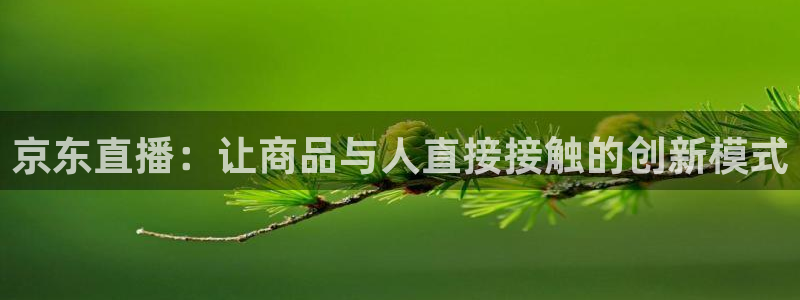 nba直播球友：京东直播：让商品与人直接接触的创新模式