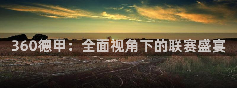 球友体育免费下载：360德甲：全面视角下的联赛盛宴