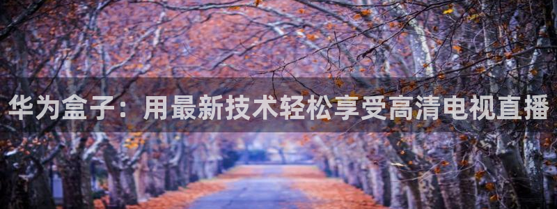 球友体育直播：华为盒子：用最新技术轻松享受高清电视直播