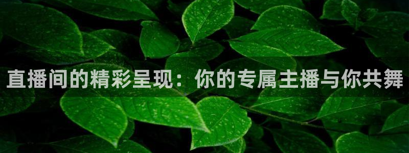 球友体育直播：直播间的精彩呈现：你的专属主播与你共舞
